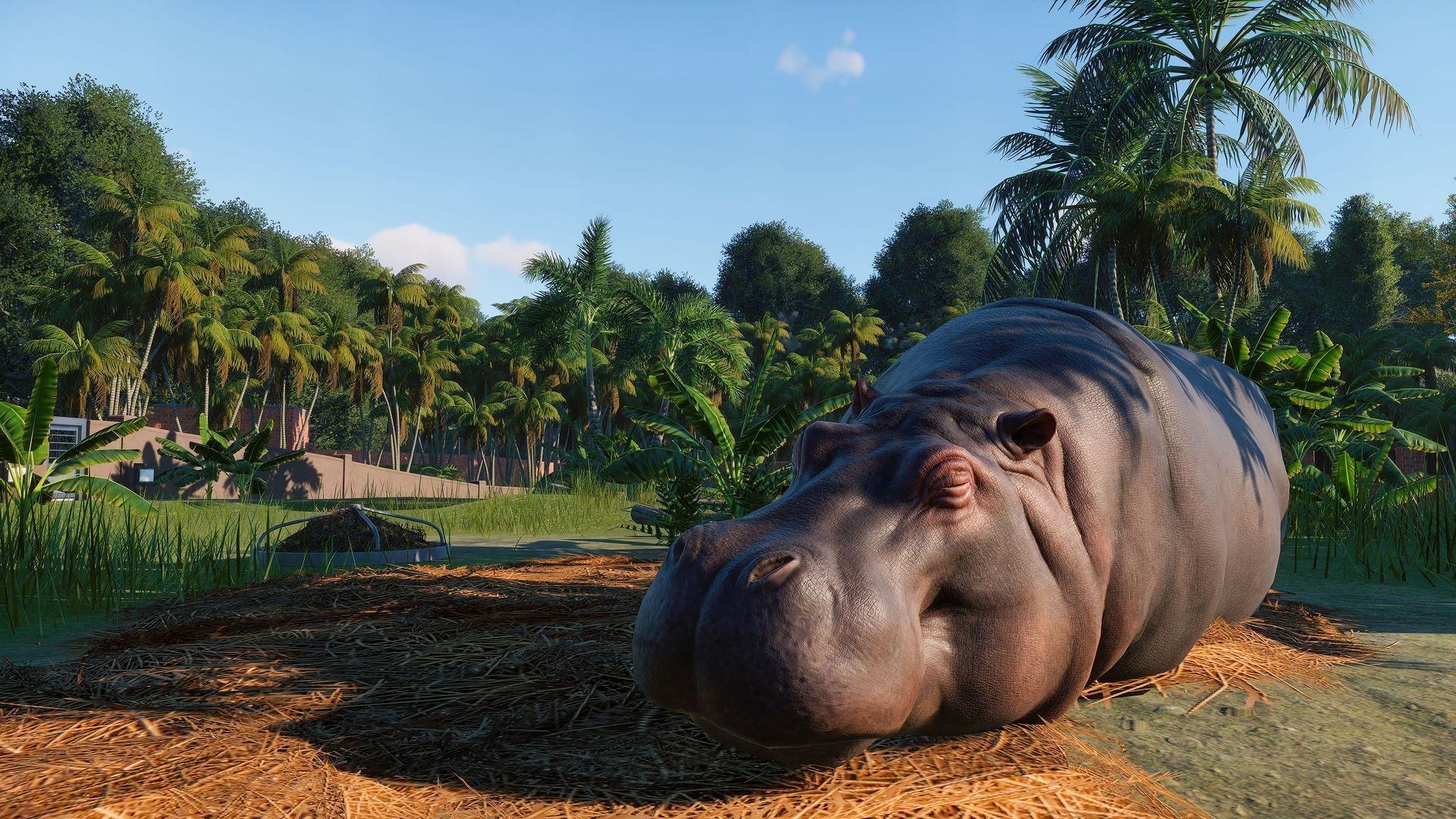 Planet Zoo - Imagen 43